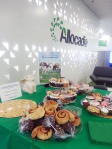 BC SPCA Cupcake Day at Allocadia